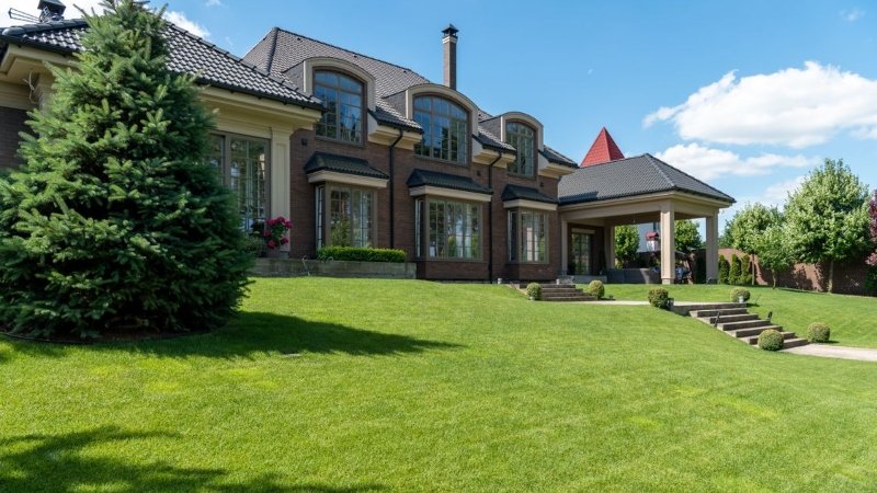 Lawn