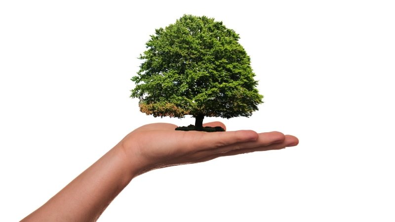 Healthier Home Environment