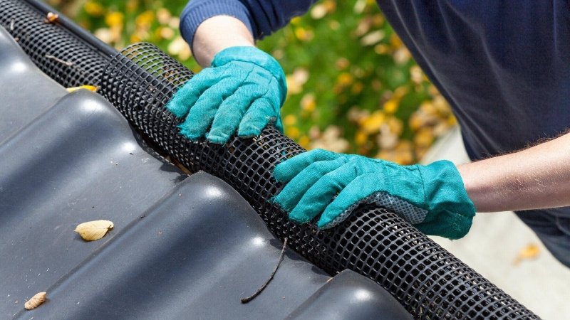 Roof Care Practices